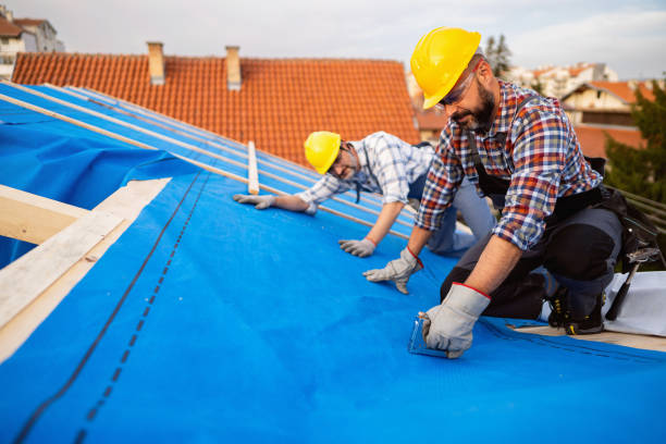 Best Shingle Roofing Installation  in Flint, MI